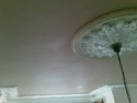 Plasterer, Damp Proofing Specialist in North Finchley