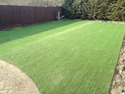 Landscape Gardener, Fencer, Driveway Paver in Ramsgate