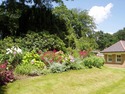 Tree Surgeon, Landscape Gardener in Richmond