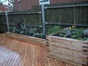 Tree Surgeon, Landscape Gardener in Richmond