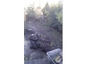 Landscape Gardener, Fencer in Broxbourne