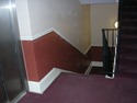 Painter &amp; Decorator, Plasterer in Basildon