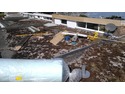 Roofer in Paignton