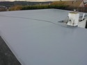 Roofer in Paignton