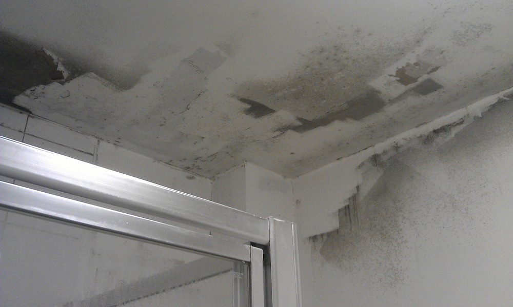 Remove damp from bathroom and windows + damp proofing Damp Proofing