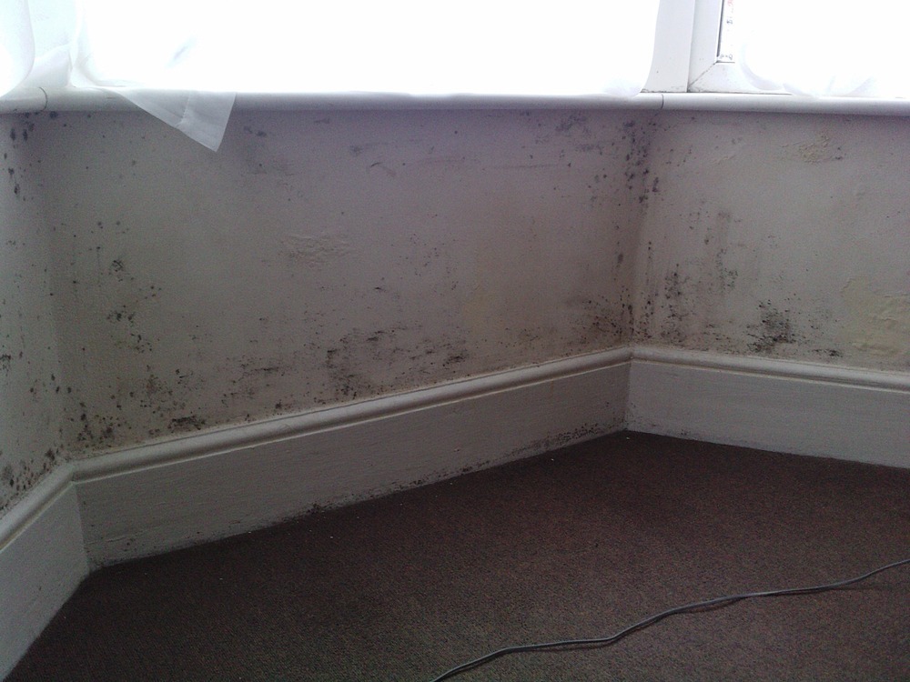 Tackle damp to bay window Damp Proofing job in Gillingham, Kent