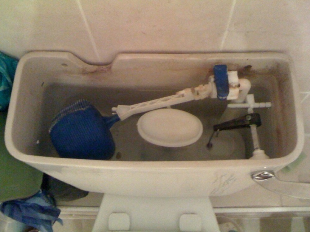 Handyman Clapham