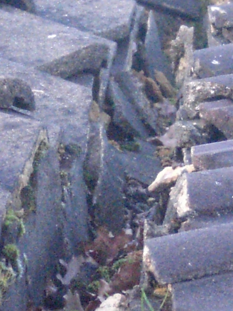 Leaking roof gully flashing & mortar replacement Roofing job in