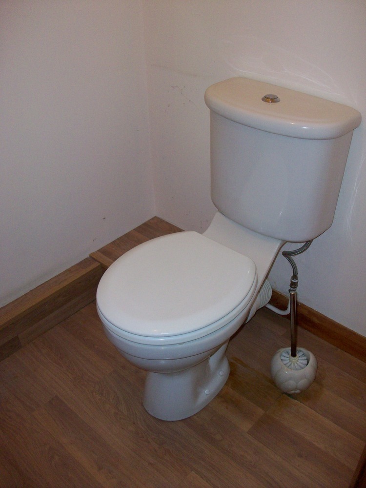 Tile cloakroom flr/splashback, replace sink and toilet Bathroom