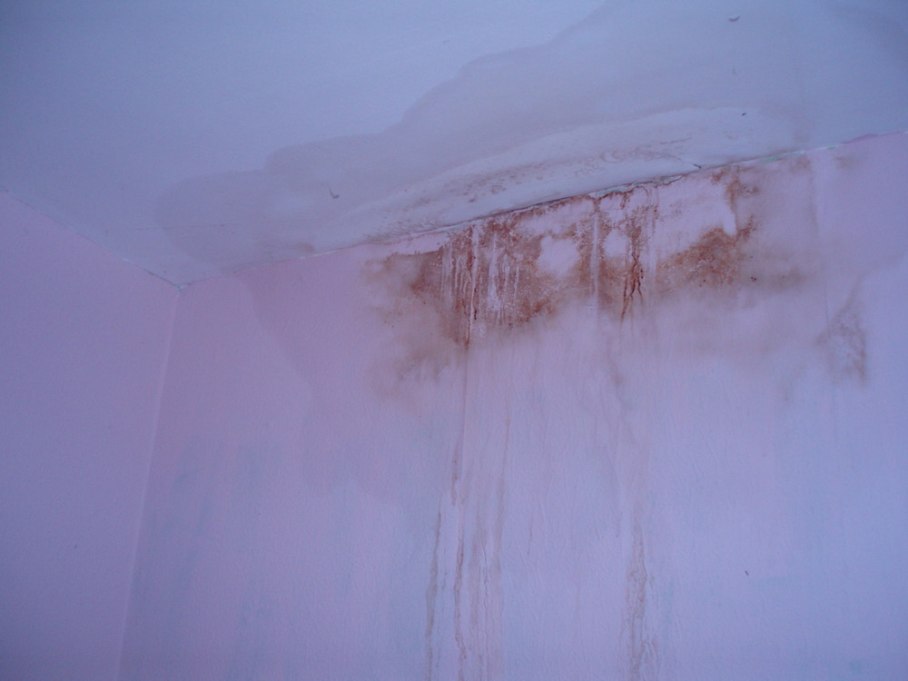 Fix source of damp at top of upstairs bedroom wall Damp Proofing job