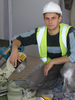 sikocarpentry's profile photo
