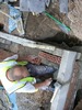 Finebuild Builders's profile photo