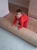 Gary Sanderson Carpets's profile photo