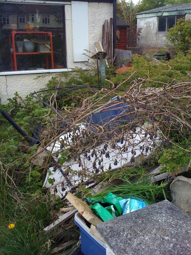 Removal - 10 cubic metres of hardcore, soil and rubbish - Demolition ...