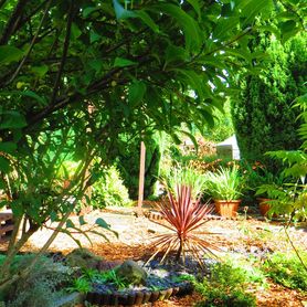 karen mccrudden - Magical Garden Makeover - COMPETITION CLOSED